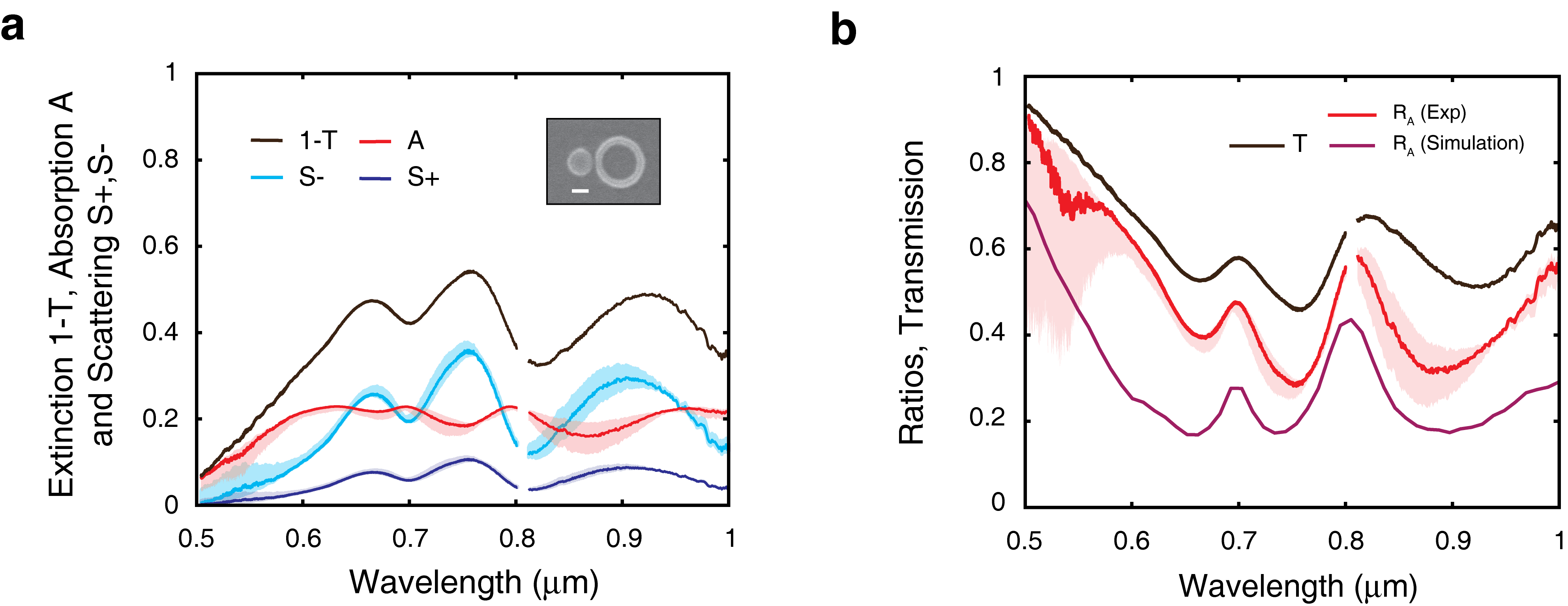 Transmission, Scattering and Absorption of the ring disk dimer.